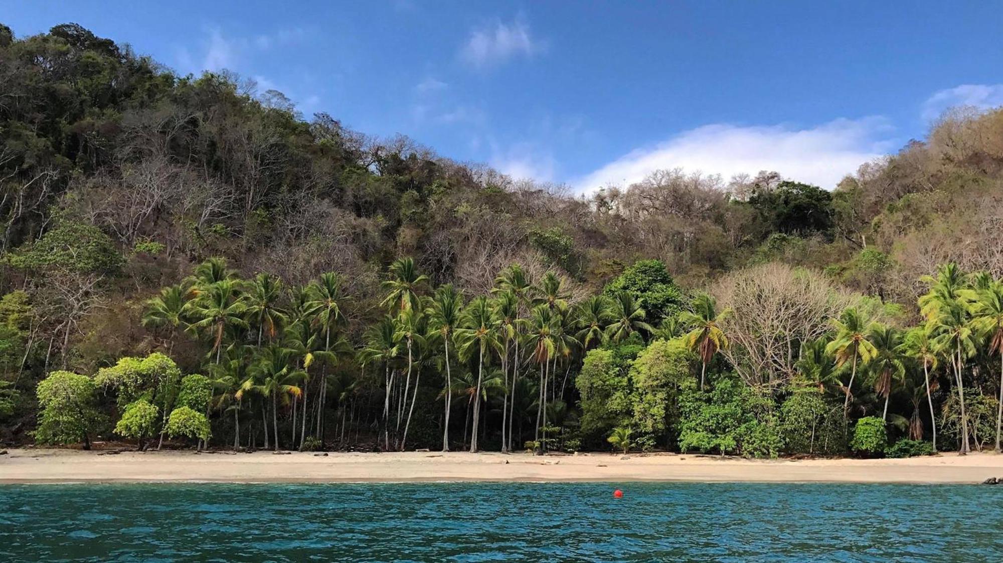 Los Vivos Beachfront Experience Pochote Экстерьер фото